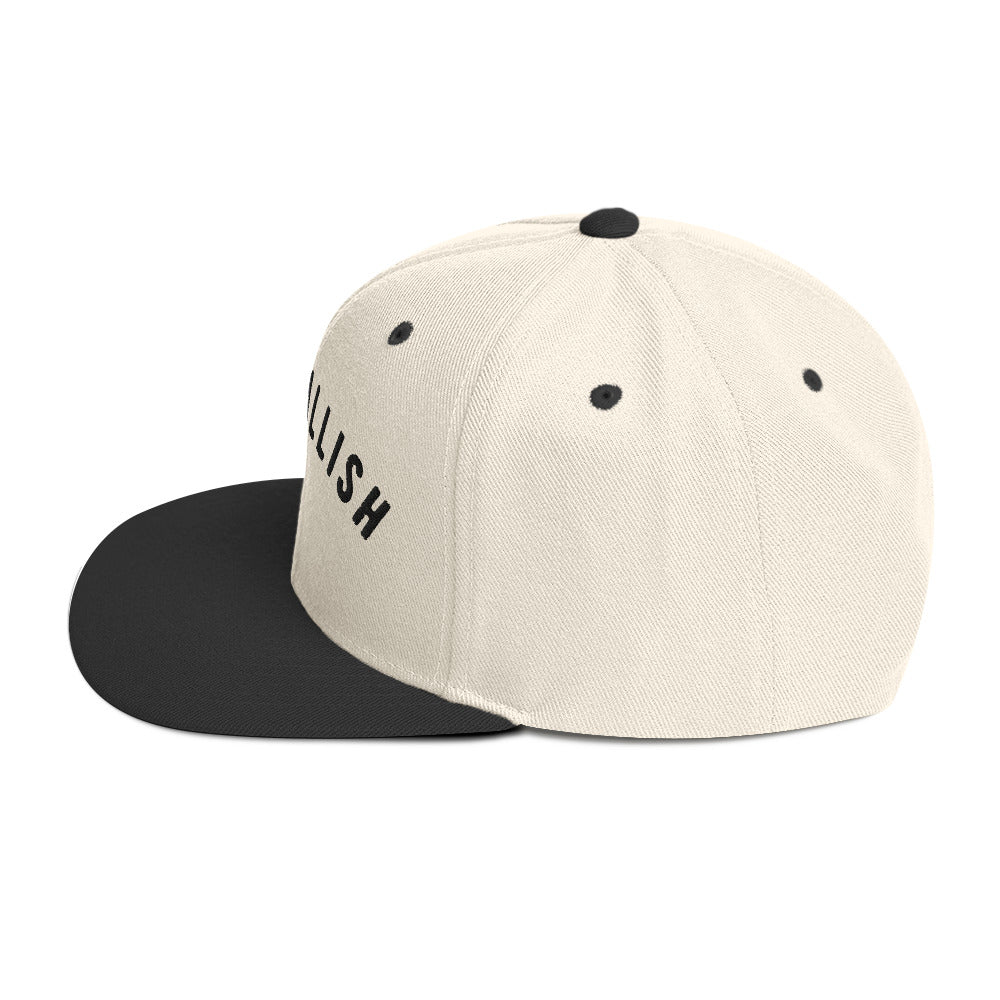 The "Parallel" Snapback Hat